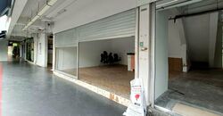 Hougang Avenue 3 (D19), Shop House #570012641